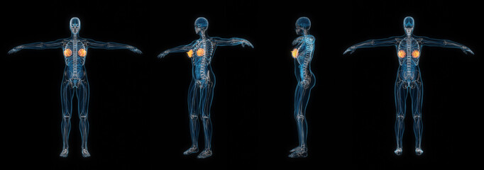 3d rendering set of human female body breast x-ray isolated on black background.