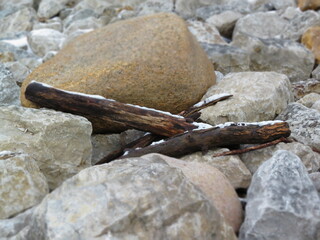 driftwood on rocky shoreline in winter