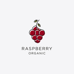 Template creative and fun raspberry logo vector