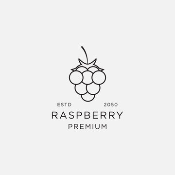 Template creative and fun raspberry logo vector