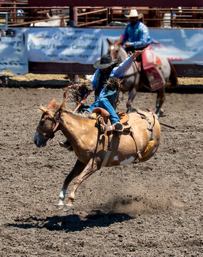 A rodeo cowboy is riding a bucking bronco. His hat is down over his face. His hand is up. An out of focus horse and rider is in the background The arena is dirt