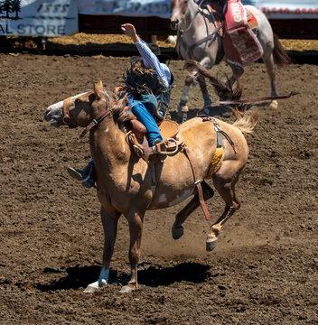 A rodeo cowboy is being thrown from a bucking bronco. His chaps are in his face. His hand is up. Part of an out of focus horse is in the background The arena is dirt
