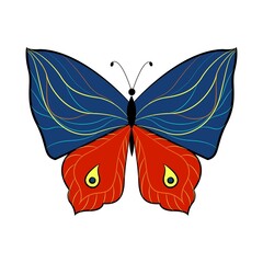 Butterfly exotic winged insect, vector illustration. Colored butterfly with large wings.