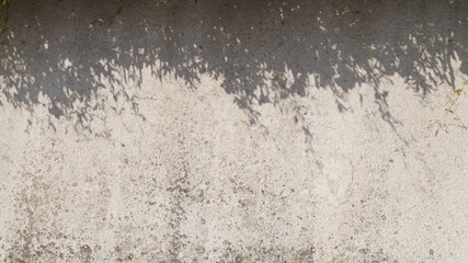 Rustic wall. Wall background with plant shadows.Space for text.