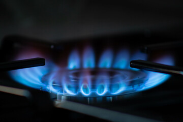 Natural gas burning a blue flames on black background. Gas in Europe. Gas crisis. Gas prices.