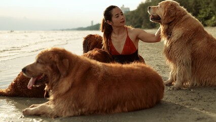 Happy woman with dog golden group sitting relax and resting at sunset enjoy freedom on the beach, Female with pets happiness outdoor people lifestyle.