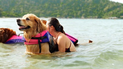 Happy woman with dog golden group playing water sea wave enjoy freedom on the beach, happiness outdoor people lifestyle.