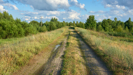 Fototapeta na wymiar Calm ukrainian landscape with dirt road among the meadows and trees in the evening.