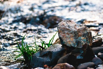 Piedra de cuarzo brillante junto al río desenfocado sobre una roca con pasto