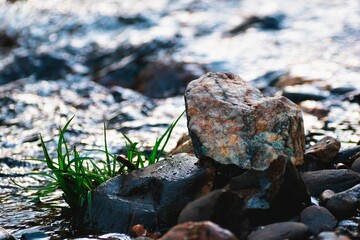 Piedra de cuarzo brillante junto al río desenfocado sobre una roca con pasto