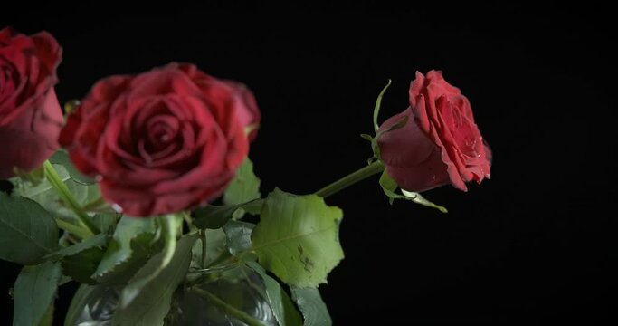 Flowers present in vase. A view of aromatic bouquet of red roses in glass vase in the night.