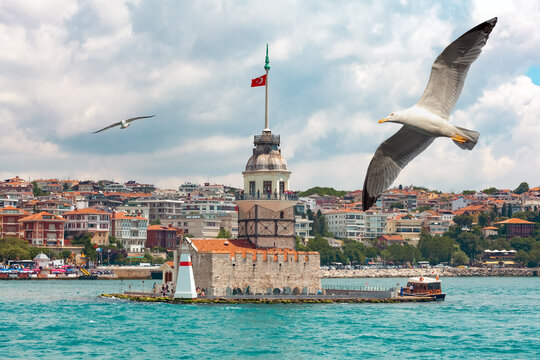 Seagulls flying near the historical Maiden's Tower I Kiz Kulesi symbol of Istanbul located in Uskudar, Salacak. Istanbul most popular tourism destination of Turkey. Travel Turkey concept.
 
