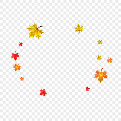 Green Floral Background Transparent Vector. Foliage Nature Frame. Golden Bright Plant. Celebrate Leaves Card.