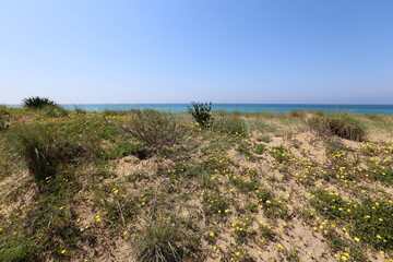 Mediterranean coast in northern Israel