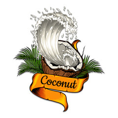 cococnut with ribbon vector illustration