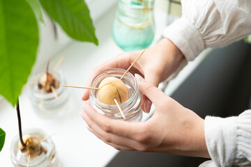 Fototapete bei efototapeten.de bestellen   