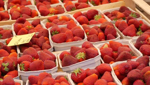 Many cardboard eco boxes with fresh, red ripe strawberries on the counter of a street market with price tags on top. The inscription in German the name of the strawberry.