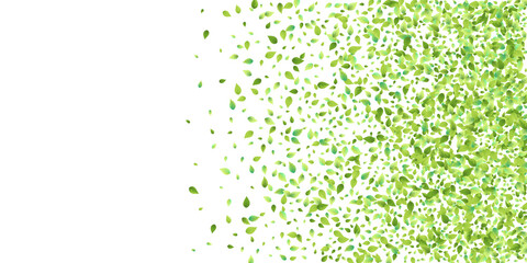 Fototapeta premium Leaves Green Falling Flying Foliage Leaf Tea Mint