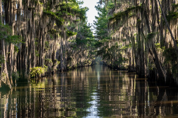 Government Ditch, Caddo Lake, Texas