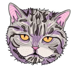 Cartoon kitten character. Sticker of unhappy cat. Illustration with fluffy cat on white background. Tattoo sketch with doodle cat. Dissatisfied cat.