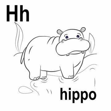 Cute clumsy giant hippo, jungle and savannah, ABC children's banner. Postcards, a poster with the alphabet.  Game room design. Vector