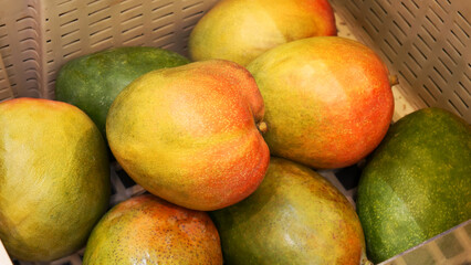 Close-up of ripe mangoes in a trading basket