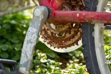 Close up of an old rusty bicycle. Destroyed gears. Pedal in the foreground. MTB Two-wheeler is a sea find (Seefunde).