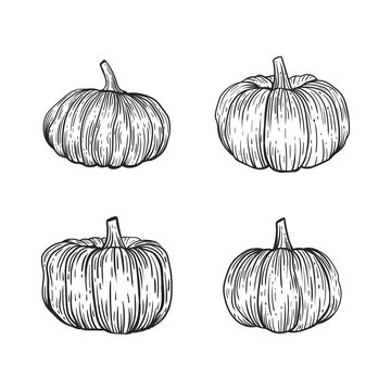Set of hand drawn pumpkins, vector illustration, on a white background, black lines.