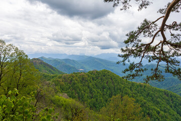 Summer, subalpine meadows and panoramic platforms, green grasses and flowering plants.