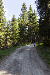 Wonderful mountain trekking route in South Tyrol. Beautiful natural landscapes.