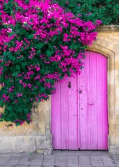 Gordijnen Pink bougainvillea flowers and old wooden door in Cyprus © Tetiana