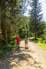 Obraz premium Wonderful mountain trekking route in South Tyrol. Beautiful natural landscapes.