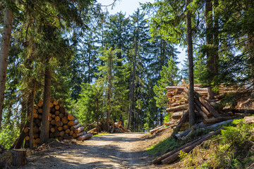 Wonderful mountain trekking route in South Tyrol. Beautiful natural landscapes.