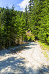 Wonderful mountain trekking route in South Tyrol. Beautiful natural landscapes.