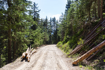 Fototapety na wymiar - Fototapeta24.pl