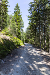 Fototapeta premium Wonderful mountain trekking route in South Tyrol. Beautiful natural landscapes.