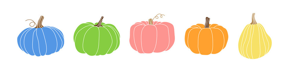 Set of colorful pumpkins of different shapes and squash. Autumn harvest pumpkin. Concept vegetables, crops, food, farming. Halloween and Thanksgiving food. Hand drawn vector flat fall illustration.