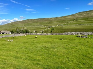 Fototapeta na wymiar Yorkshire Dales National Park landscape, with sheep, dry stone walls, and a farm near, Horton in Ribblesdale, UK