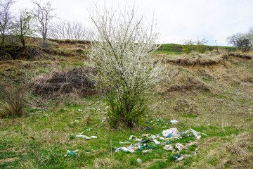 A pile of garbage in a clearing in the countryside against the backdrop of a flowering tree on a spring day.  Concept of ecology. Out of focus.