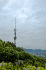Fototapeta premium construction of a TV tower among trees and sky