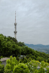 Obraz premium construction of a TV tower among trees and sky