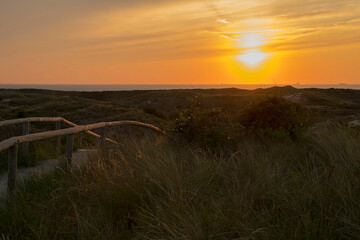 View on a fenced footpath in the dunes at sunset