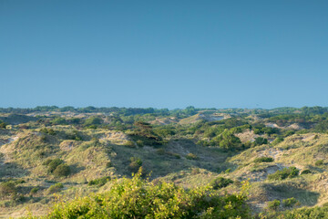 Fototapeta na wymiar View on an open dune lansdscape