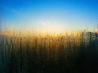Drops flowing from fogged glass and behind glass rising sun with sky in blue and yellow tones. Texture of dripping drops on damp glass.