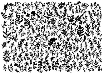 a set of silhouettes of twigs with astrakhan leaves. a set of twigs and blades of grass with leaves dots curls isolated black silhouettes on white for a design template