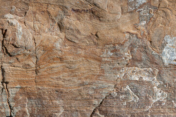 Stone textured background is color of dry sand of gray and white coating of details. Natural sand stone background.