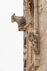 Details of the facade of the cathedral in Trani, Southern Italy