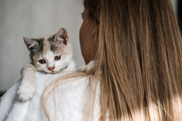 Cat Adoption, Adopt kitten from rescues and shelters. Portrait of woman playing with outbred adopted grey kitten