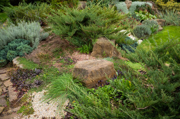 Flowerbed with evergreens, flowers and stones in the landscape design