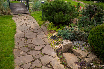 stone path in the park with small thujas in landscape design, bushes along the path